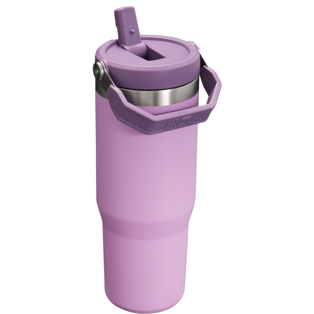 
                  
                    Lilac Classic Flip Straw Tumbler
                  
                