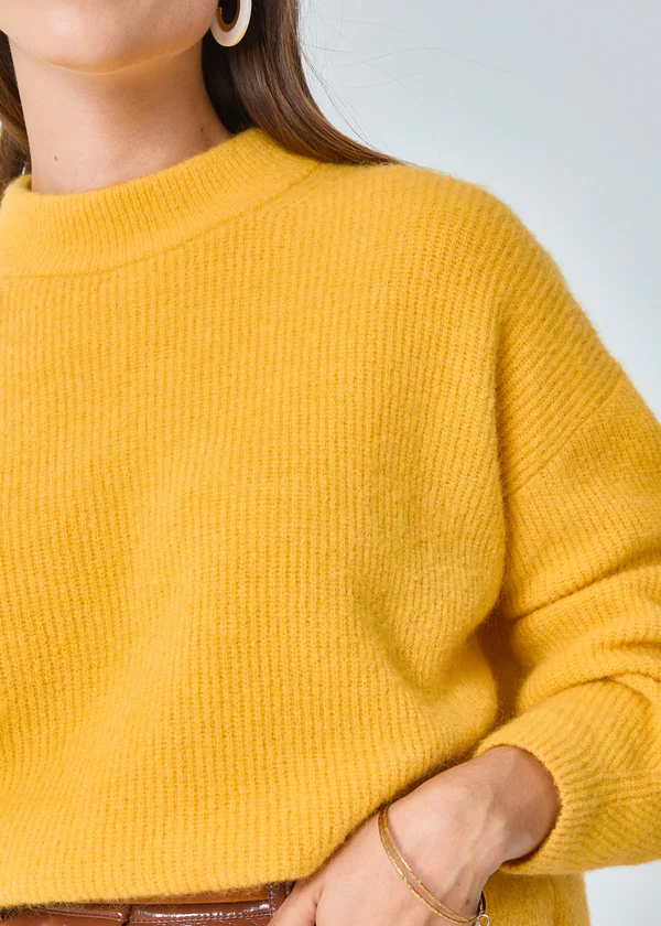 
                  
                    PUMPKIN Pissenlit Pullover
                  
                